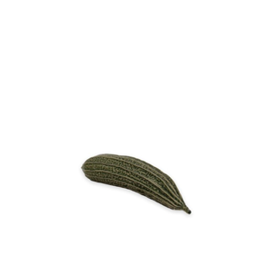 Gurka skörd grön porslin